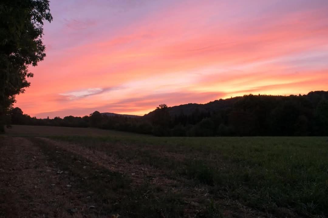 Les De La Perle Vouglans La Chouette G * Cernon